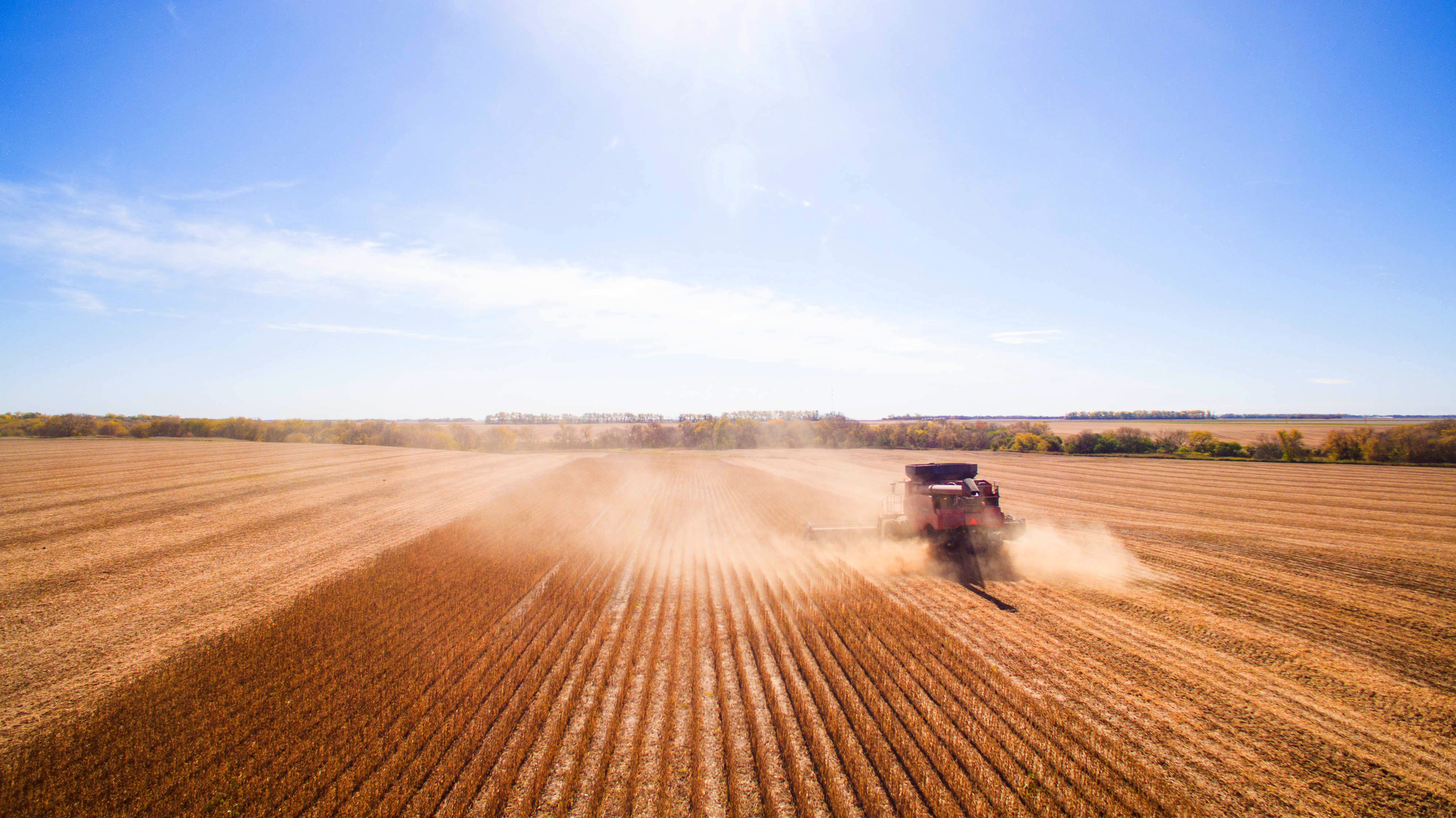 Revisiting Flexible Farm Rents